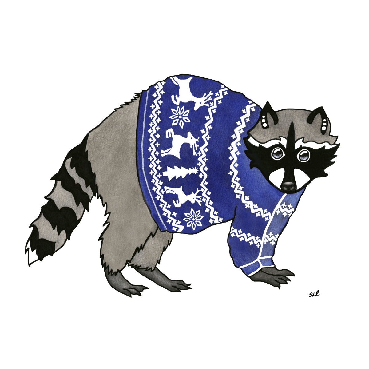 Raccoon with a white tip on its tail wearing three earrings and a blue nondenominational holiday sweater
